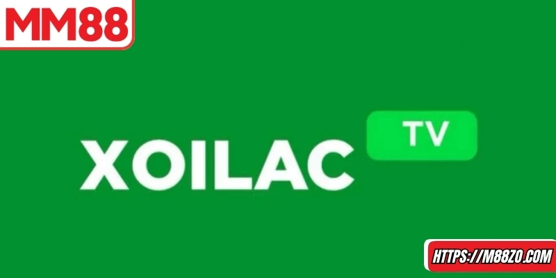 Trải nghiệm bóng đá trực tuyến mượt mà, ổn định